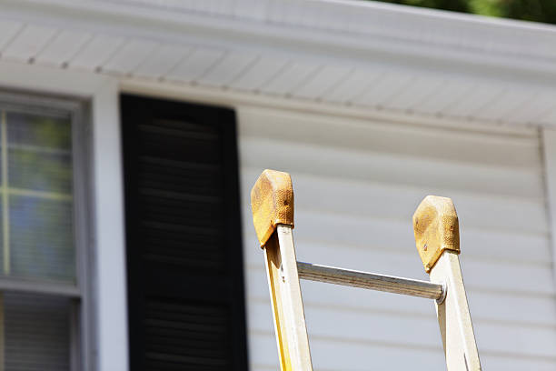 Best Residential Vinyl Siding Installation  in Dickson, OK